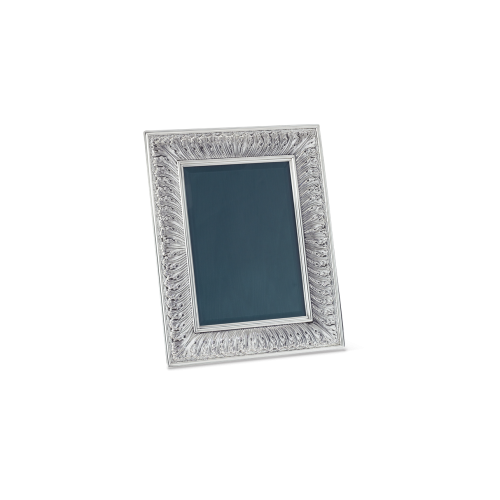 ROUCHE SILVER FRAME