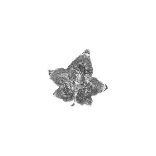 IVY PLACEHOLDER